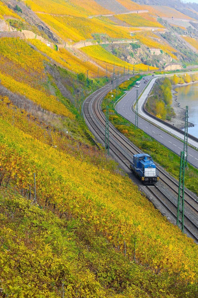 SLG - Spitzke Logistik GmbH,  V 100-SP-003  [NVR-Nummer: 98 80 3202 677-1 D-SLG], alleine im Rheintal am linken Ufer am 4.11.24.