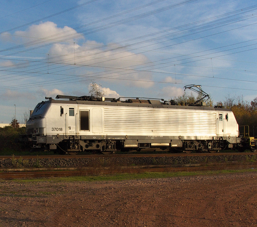 Spinnennetz: Wer in der Nähe eines Kraftwerkes photographiert, der muss auch die vielen Leitungen  über  sich ergehen lassen. Die Suppenlok Akiem 37018 mal anders und nicht schräg von vorne. Bahnstrecke 3230 Saarbrücken - Karthaus beim KW Ensdorf am 12.11.2015