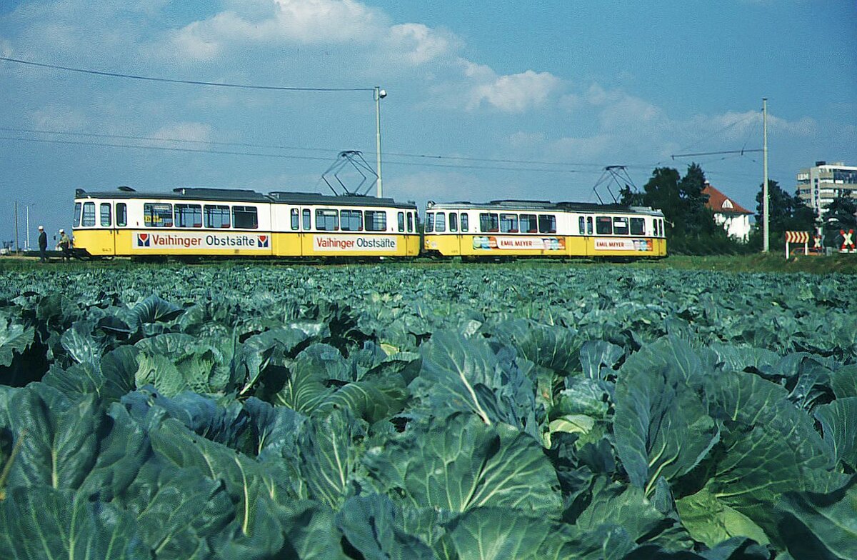 SSB Filderbahn_Typisch Filderbahn in den 70ern (und auch wieder nicht, denn Doppeltraktion gabs auf dieser Strecke nur als Betriebsfahrt von/zur 1971 -weiter links- eröffneten Hw). Aber GT 4 im Krautfeld (wenn auch nicht das typische Filder-Spitz-Kraut, Werbung für die vom Endpunkt der Linie 31 kommenden Vaihinger Fruchtsäfte und ...von Neoplan ist auch noch was zu sehen.Bild von 1975.Heute wächst hier längst kein Kraut mehr, dafür wuchsen und wachsen Hw,Stadtbahn- und Omnibusbetriebshof und aktuell ein neues Gleisdreieck ('Pflugsmühle')als Über-Eckverbindung zum Rohrer Weg.