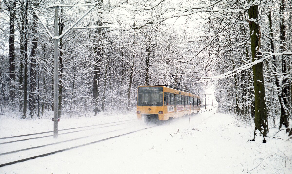 SSB Stuttgart__S-DT8-Zug auf Linie 3 im Wald nach der Haltestelle 'Landhaus' nach Plieningen.__12-1986