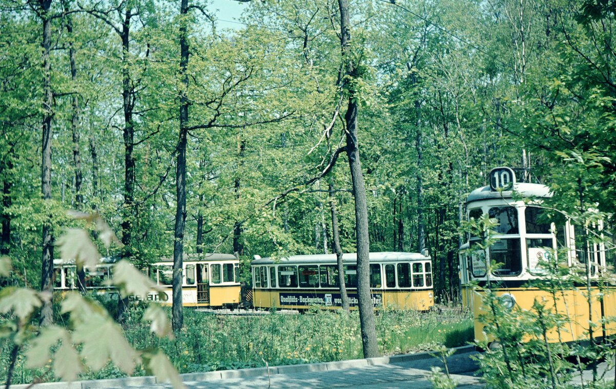 SSB Stuttgart__Zwei 10er-Züge in Zwischenschleife 'Geroksruh' am Waldrand.__13-05-1973