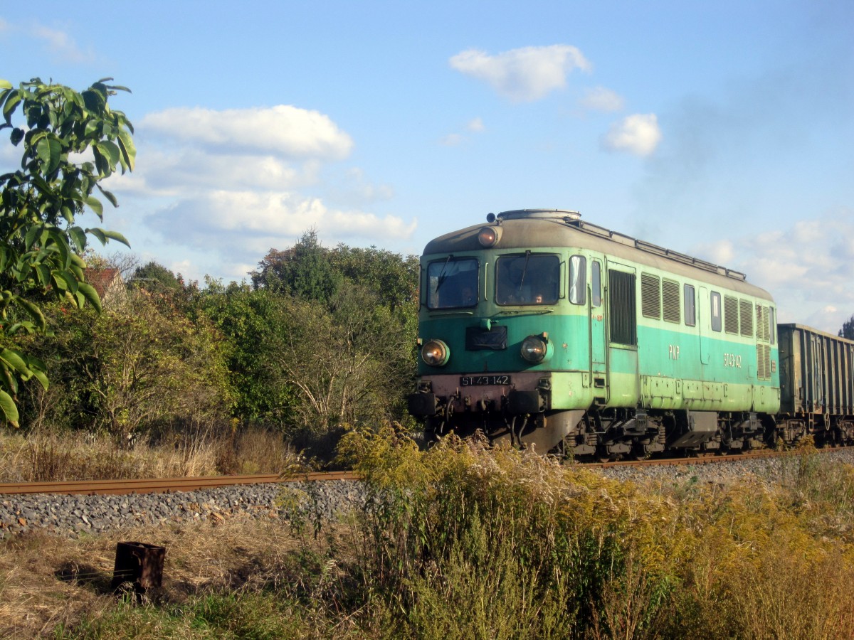 ST43-142 beim Ausfahrt von Miedzyrzecz,1.10.2013