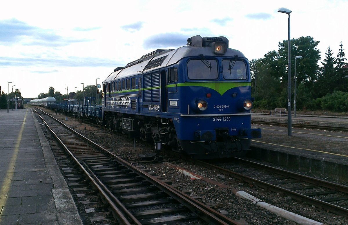 ST44-1239 in Bahnhof Miedzyrzecz, 31.08.2020