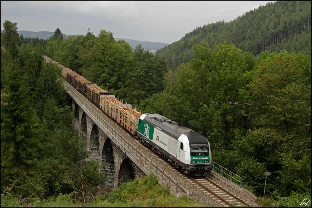 STB 1223.004 mit NG 67254 Friedberg-Wr.Neustadt, am 21.07.14 bei der Fahrt über den Eisteichviadukt.
