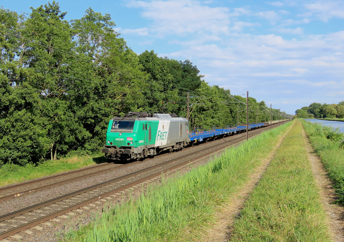 Steinbourg - 8. August 2024 : BB 37045 mit eine Überführung von Güterwagen von hausbergen nach Woippy.