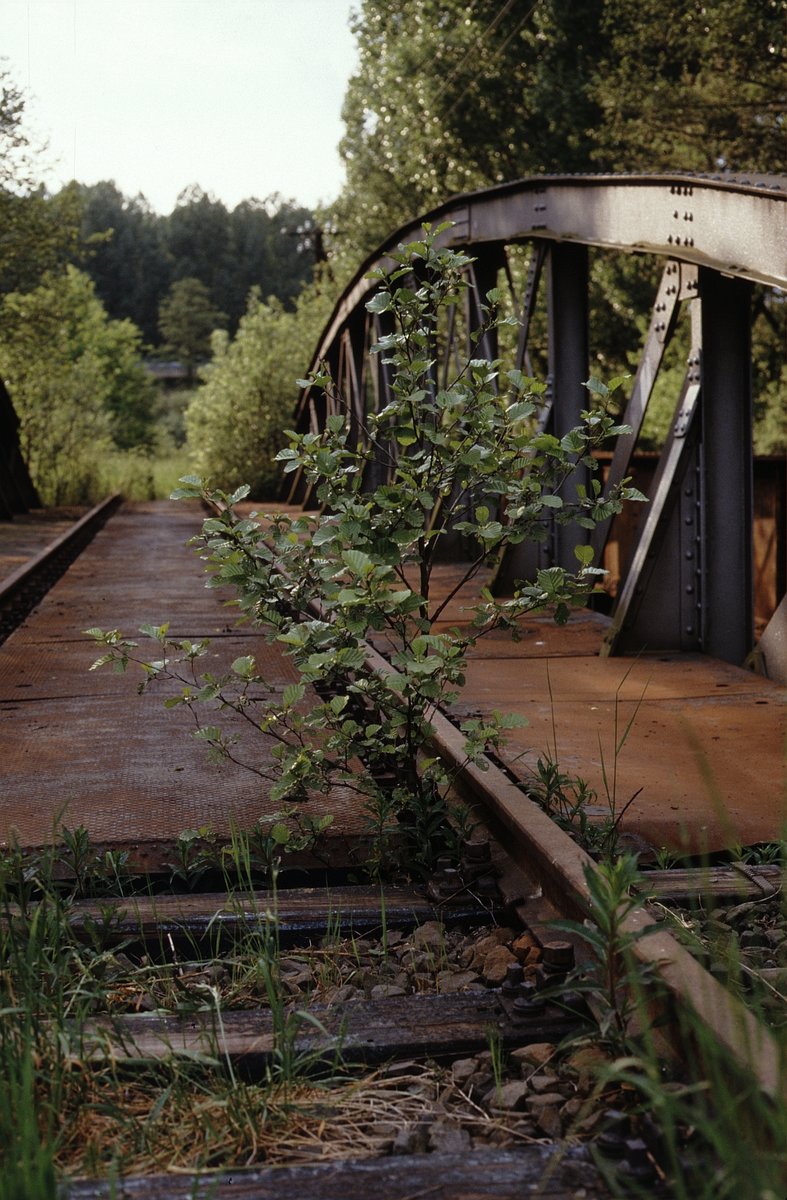 Stillgelegt - Ohmtalbahn bei Burg- und Nieder Gemünden (Mai 1988).