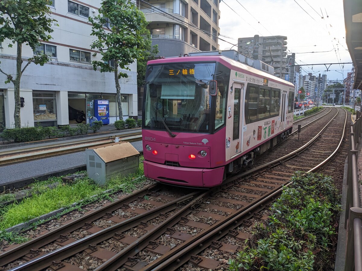 Tokyo 30.07.2024 18:25 Uhr, Toden-Arakawa Straßenbahn Zug 8804 Enstation Waseda