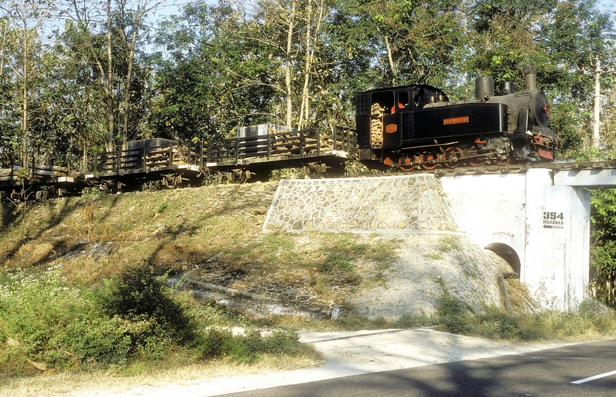  TUDJUBELAS  Waldbahn Cepu  10.08.04