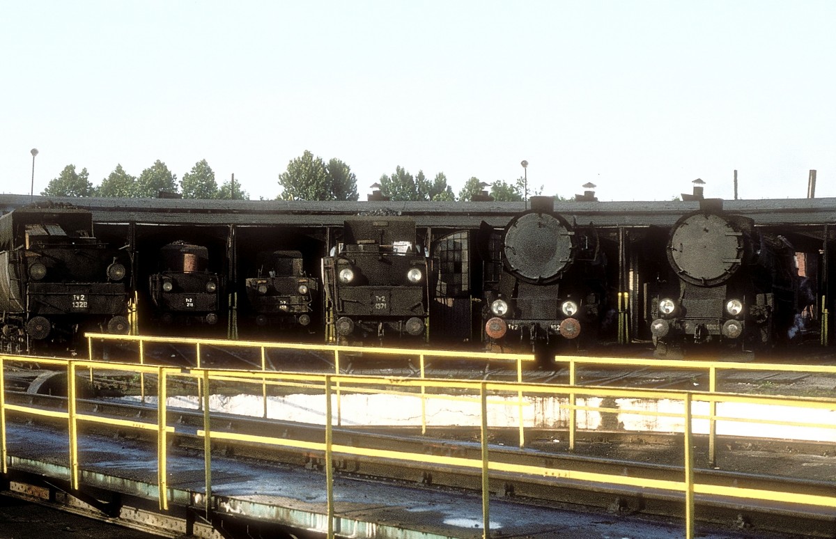  Ty2 1328  Jaworzyna - Slaska  11.06.81