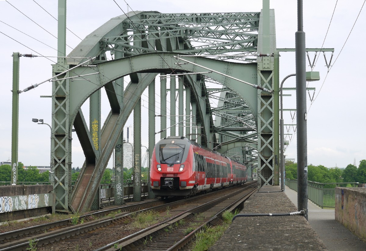 Umgeleiteter RSX Siegen - Aachen (RE 9) mit 442 102 (erster Zugteil; dahinter ein 442.2) auf der Kölner Südbrücke, 26.4.14.