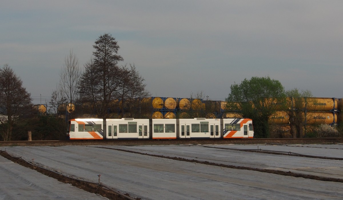 Unbekannte Straßenbahn der RNV auf der Linie 4 zwischen den Haltestellen Fußgönheim und Maxdorf-Süd.

Fußgönheim, der 29.03.2014