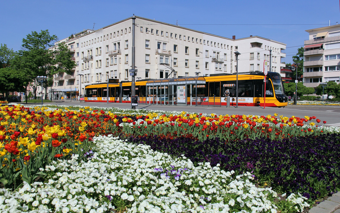 Verkehrsbetriebe Karlsruhe 354 // Karlsruhe (Haltestelle Kolpingplatz) // 21. April 2018