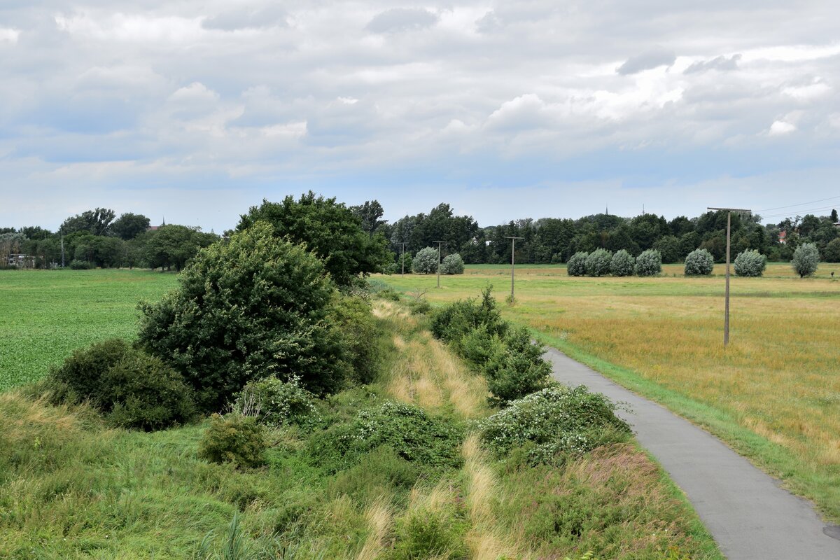 Von Salzwedel aus gingen einst mehrere Nebenbahnen ab welche nach und nach alle samt stillgelegt wurden. Hier sieht man die Bahnstrecke nach Oebisfelde. Die Strecke wurde 2004 durch die DB stillgelegt und zum 1. Januar 2007 von der DRE zur Streckensicherung gepachtet. Da auf dem Abschnitt Klötze - Oebisfelde von den Kommunen kein Interesse am Schienenverkehr vorlag wurde die Strecke 2008 durch die DRE abgebaut. Auf dem Abschnitt Salzwedel - Klötze befuhren 2014 und 2015 Sonderfahrten. Seither ist die Strecke ohne Verkehr und wächst stetig zu.

Salzwedel 31.07.2021