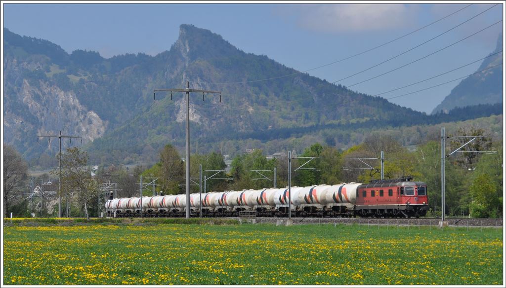 Vor dem Fläscherberg zieht Re 6/6 11628 den Hokcim Zementzug Richtung Untervaz. (19.04.2016)