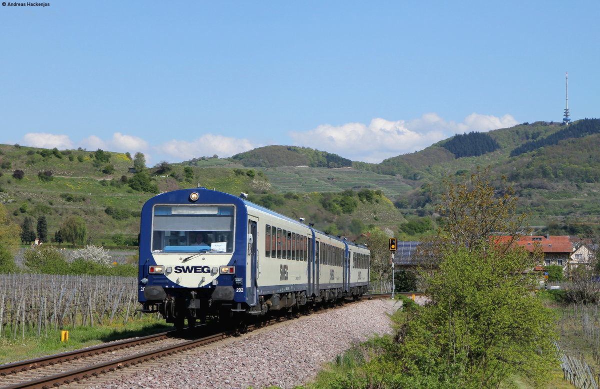 VS 202, VT 126 und VT 127 als SWE74216 (Breisach-Riegel-Malterd.NE) bei Oberrotweil 29.4.16