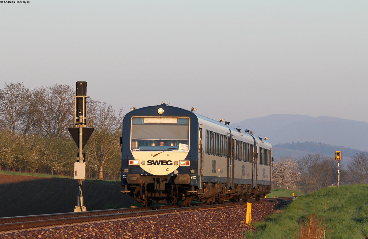 VS 202,VT 126 und VT 127 als SWE74257 (Jechtingen-Gottenheim) bei Endingen 20.4.16