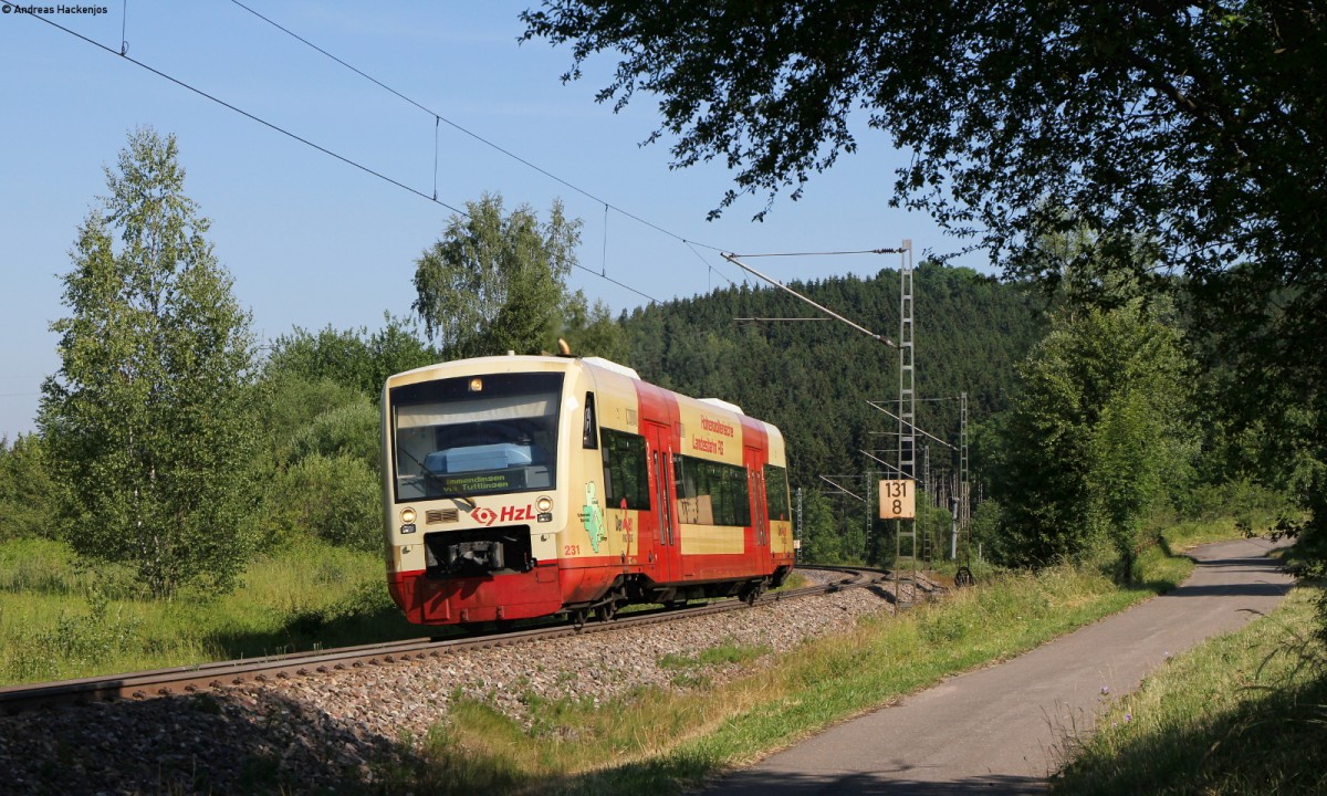 VT 231 als HzL88067 (Rottweil-Immendingen) bei Neufra 23.6.14