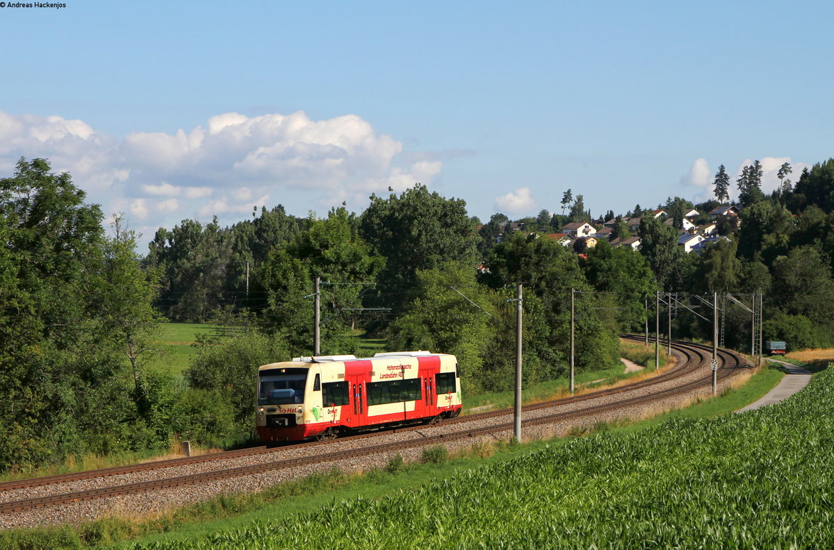 VT 250 als HzL88034 (Schwenningen(Neckar)-Bräunlingen Bf) bei Grüningen 18.7.16