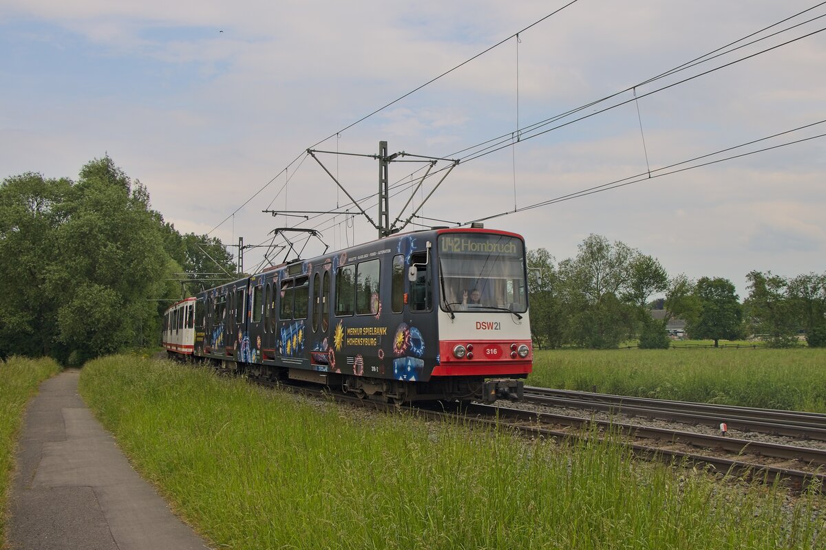 Wagen 316 mit Werbebeklebung für die Spielbank Hohensyburg verlässt die Endhaltestelle Grevel (17.05.2024) 