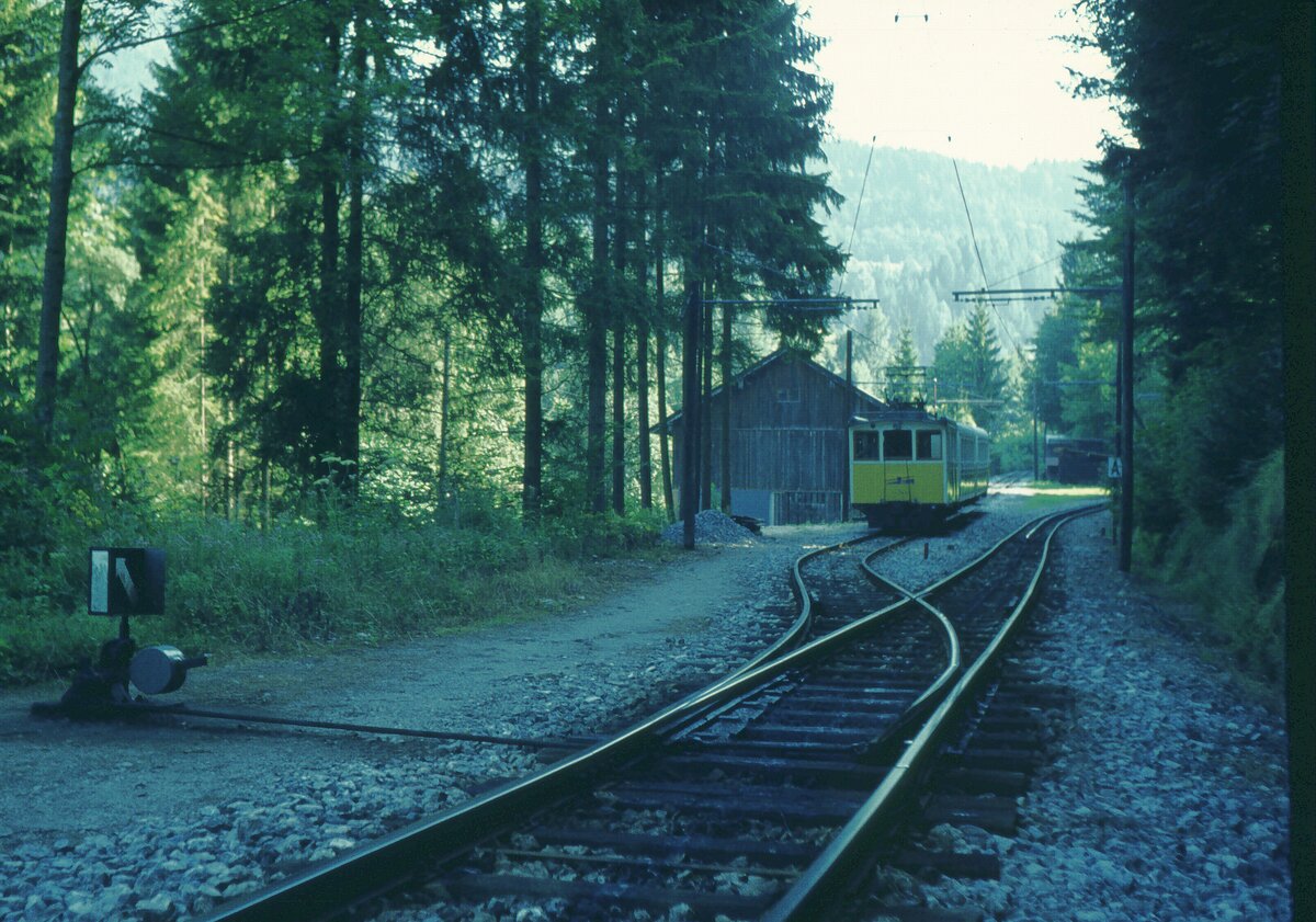 Wendelstein Zahnradbahn__Zug auf dem Abzweiggleis zum Depot kurz nach dem Talbhf. Rechts Beginn der Zahnstange auf dem Streckengleis.__16-08-1973