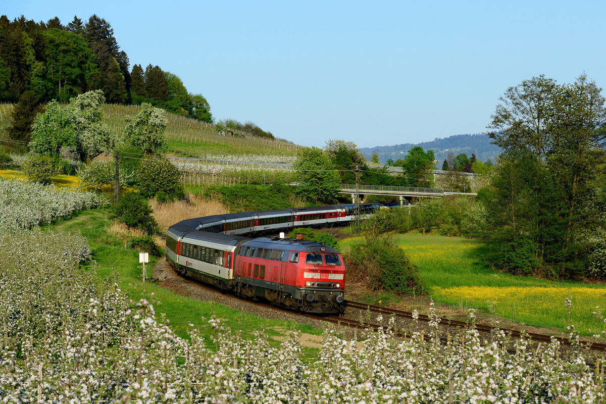 Zum Abschluss des gelungenen Ausfluges ins Allgäu wurde dann noch der EC 192 in den blühenden Apfelplantagen bei Bodolz abgewartet. Auf dem Bodensee brauten sich bereits Gewitter zusammen, so daß es durchaus spannend wurde, ob sich noch ein Sonnenbild ausgehen möge. Auch drohte ein Gegenzug-Schaden in Form des nach München fahrenden Rad-Expresses. Wie man sieht, ging alles gut aus - nur die Zuglok in Form von 218 465 hätte ein wenig gepflegter sein dürfen. Erstaunlicherweise hatte die solo fahrende Maschine wie schon am Vormittag keine Verspätung auf der steigungsreichen Allgäubahn eingefahren. Ein besonderer Dank geht an den Hobby-Kollegen aus Lindenberg, der mir uneigennützig seine Zweit-Leiter zur Verfügung stellte. Ohne diese hätte ich das Bild so nicht anfertigen können (22. April 2018). 