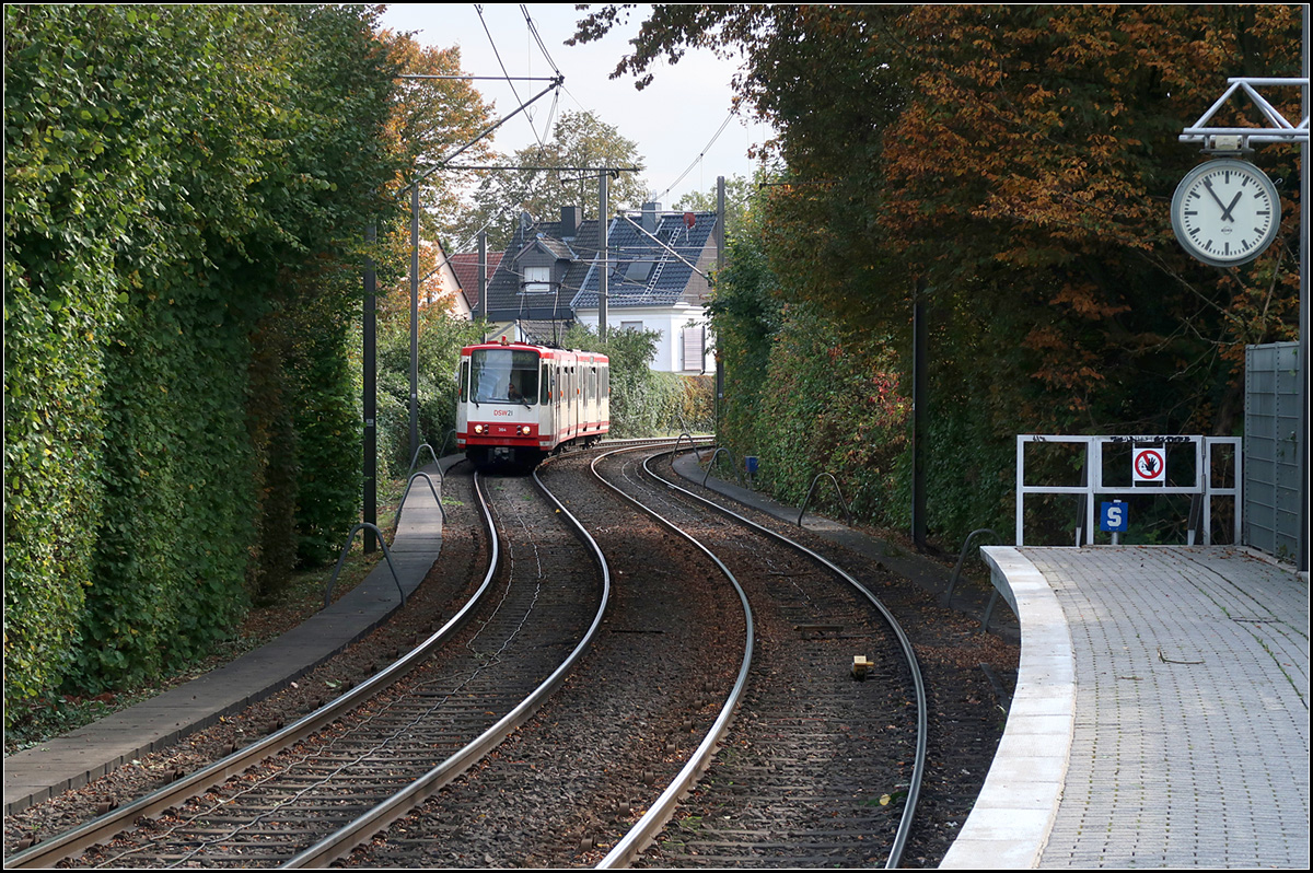 Zwischen grünen Wänden -

... verläuft die Trasse der U47 bei der Haltestelle Buschstraße in Dortmund-Huckarde. 
Die Bedeutung der Metallbögen über den Kabelkanälen ist mir nicht ganz klar. Vielleicht sollen sie das Befahren mit Zweirädern verhindern.

15.10.2019 (M)