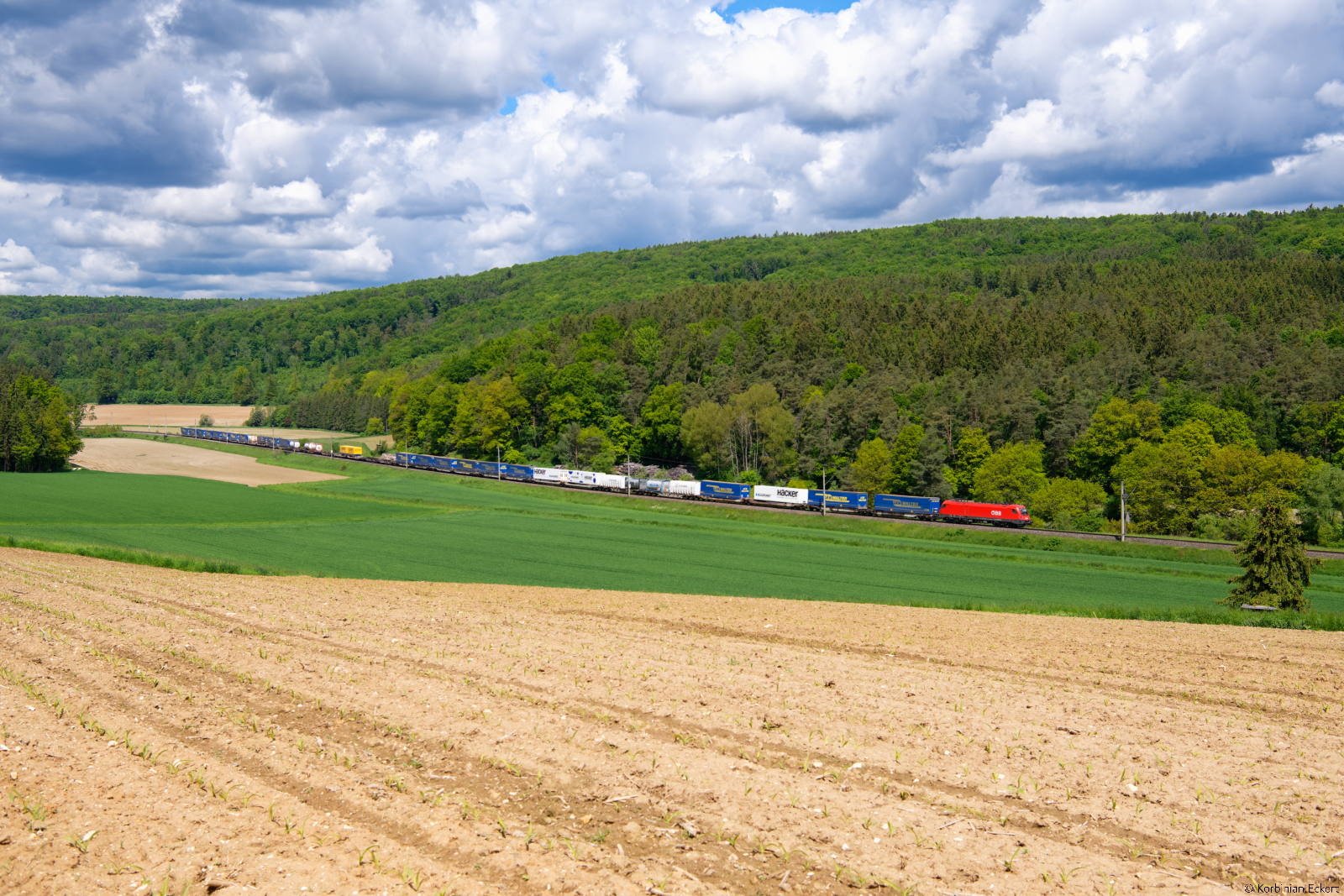 1016 009 ÖBB mit einem KLV-Zug bei Kehlheim Richtung Regensburg, 29.05.2021