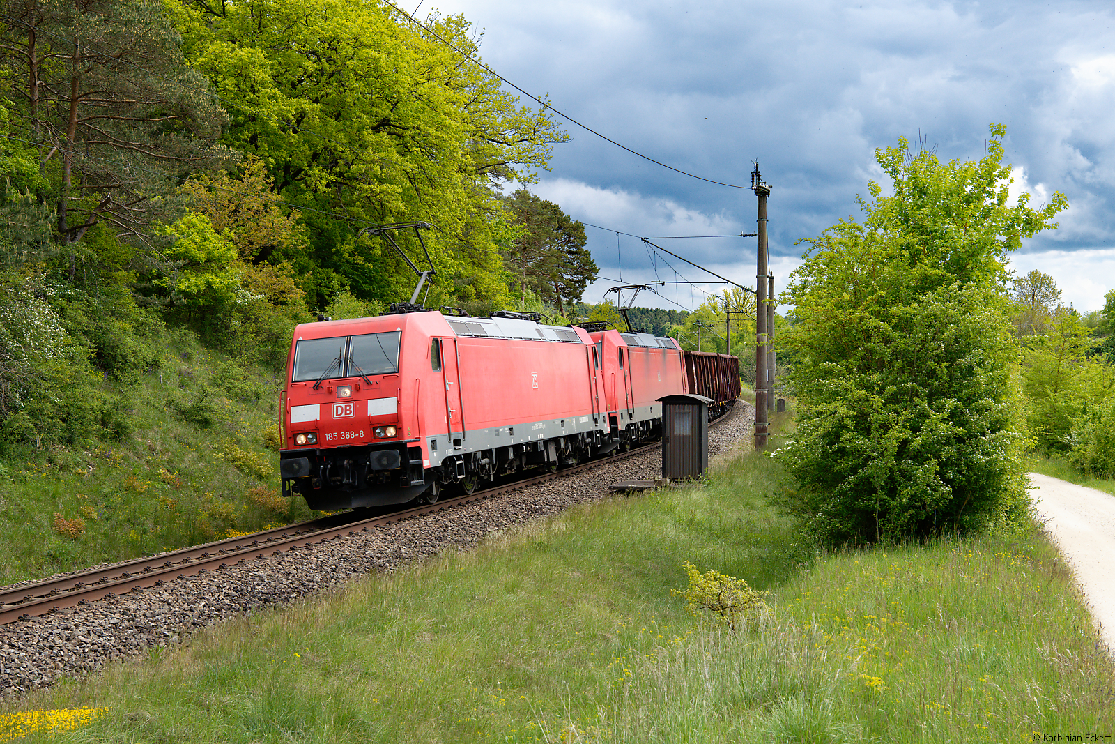 185 368 DB Cargo und eine weitere 185 mit einem gemischten Güterzug bei Thaldorf, 29.05.2021