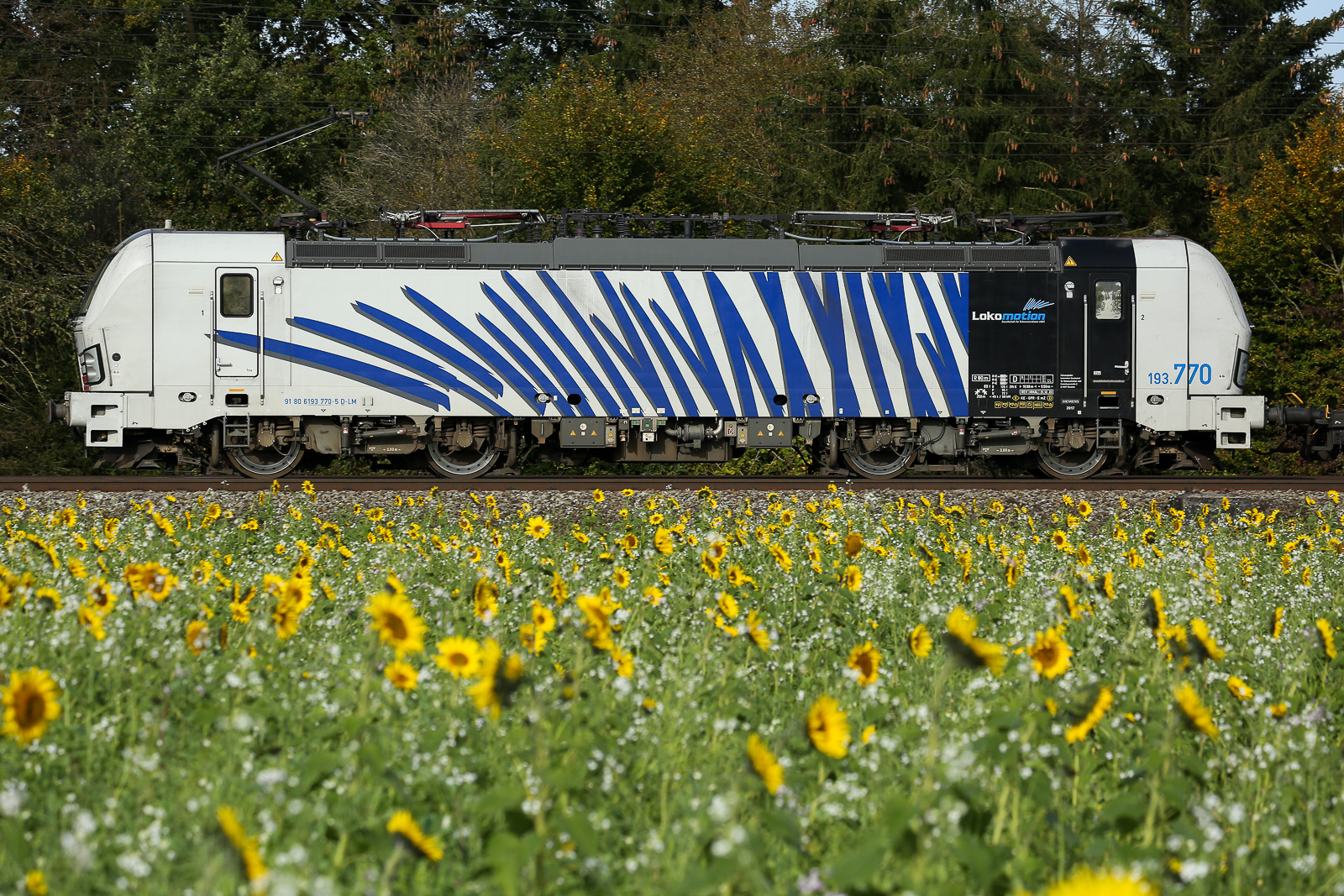 193 770 Lokomotion am 16.10.2024 bei Eglharting.  