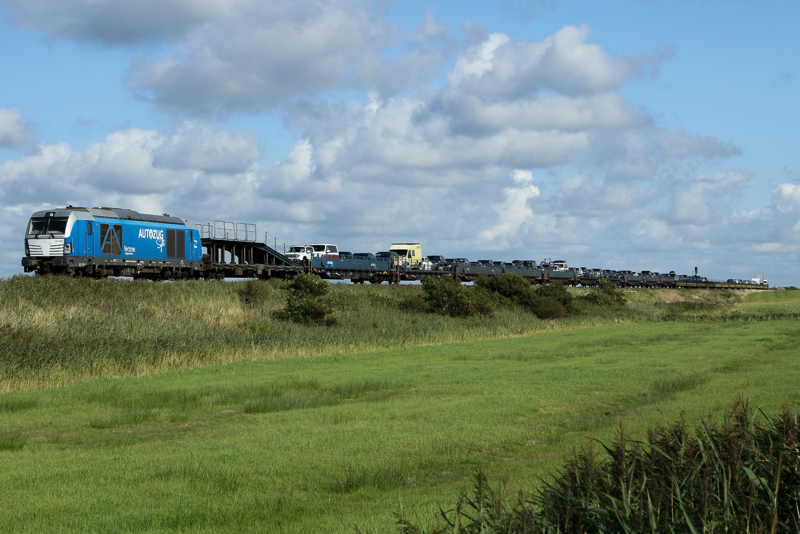 247 909  Anne  von RDC Autozug Sylt am 28.7.2024 zwischen Tinnum und Keitum.