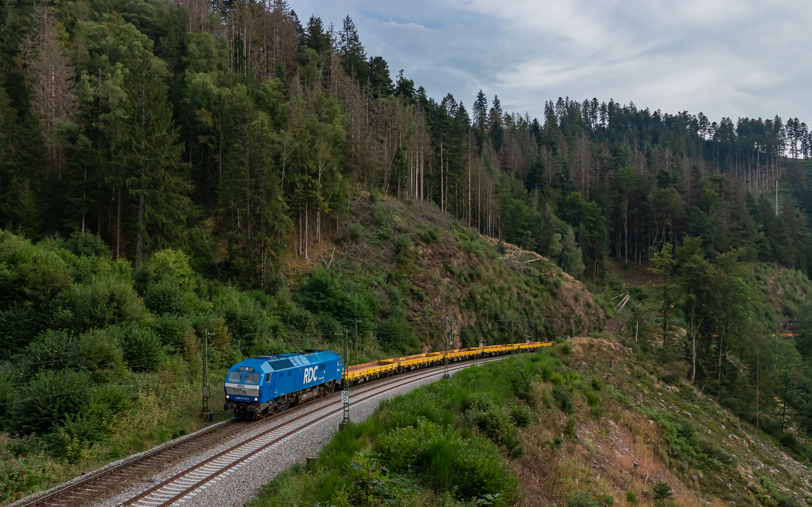 251 003 mit dem DGS 52762 (Müllheim (Baden) - Horb Gbf) bei Triberg 30.8.24