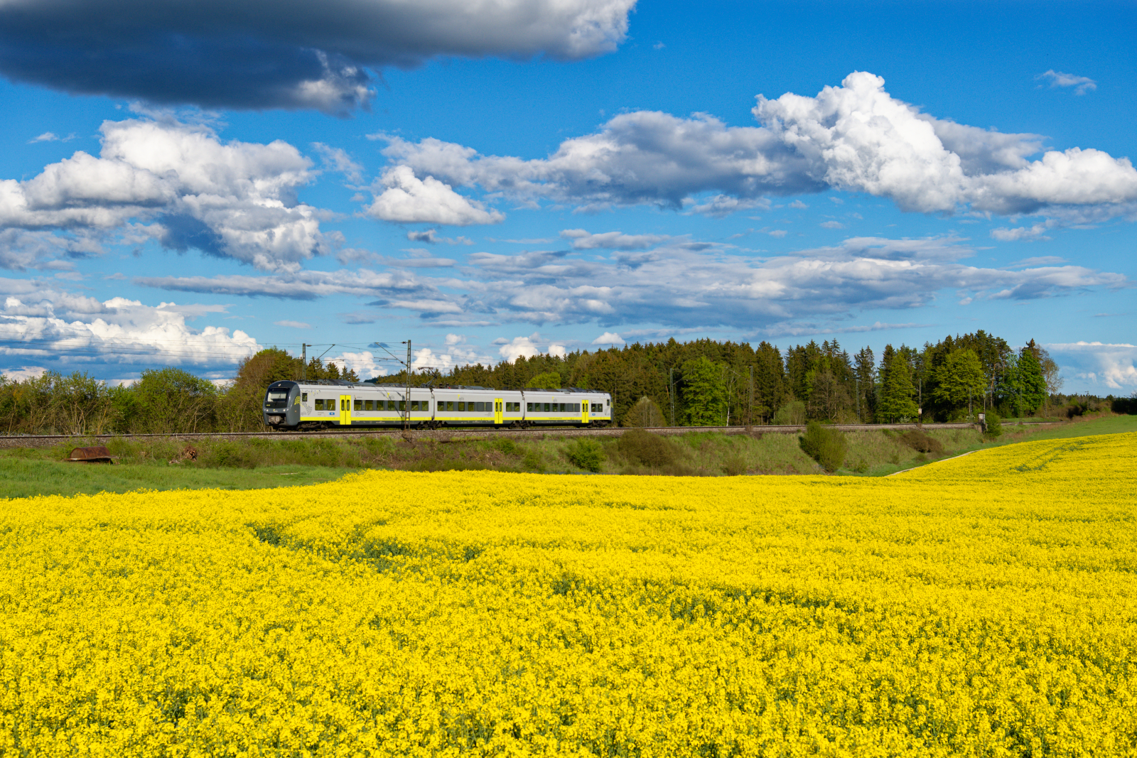 440 403 Agilis  Abensberg  als ag 84340 (Regensburg Hbf - Parsberg) bei Parsberg, 14.05.2021