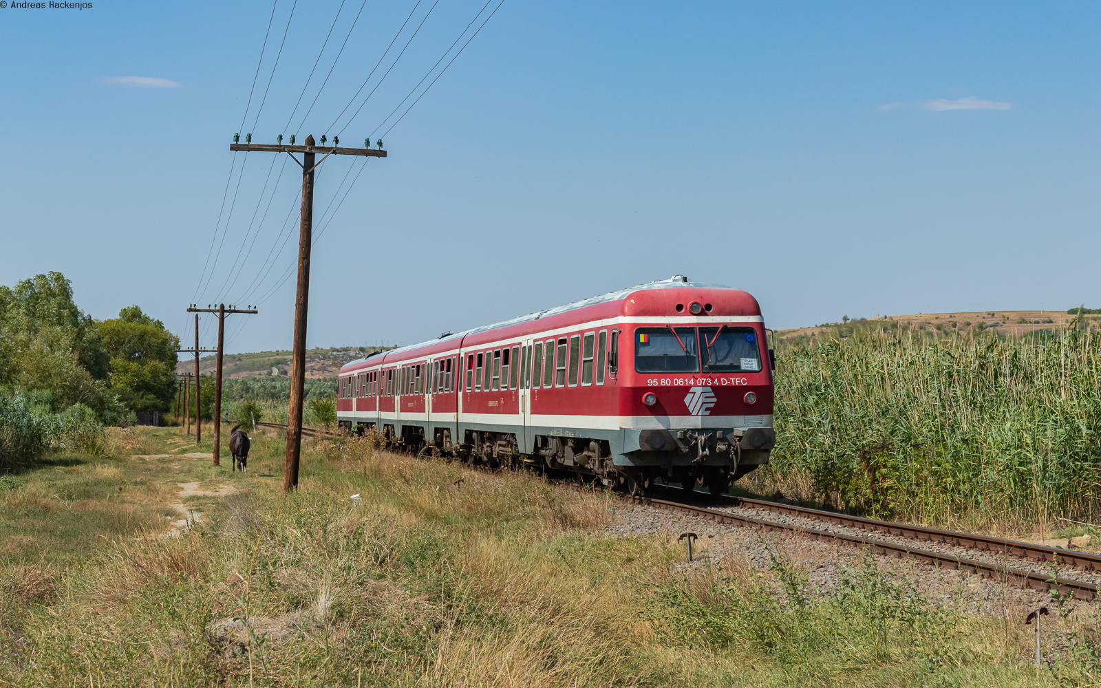 614 073 / 614 074 als R 10308 (Bârlad - Galati) bei Foltesti 17.8.24