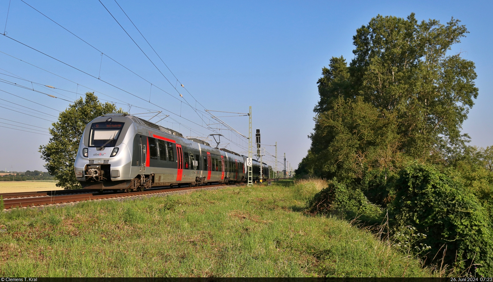 9442 101 und 9442 616 (Bombardier Talent 2) steuern durch die morgendliche Saaleaue zwischen den Halten Angersdorf und Halle Südstadt.

🧰 S-Bahn Mitteldeutschland (Abellio Rail Mitteldeutschland GmbH)
🚝 S 74767 (S7) Sangerhausen–Halle(Saale)Hbf
🕓 26.6.2024 | 7:23 Uhr