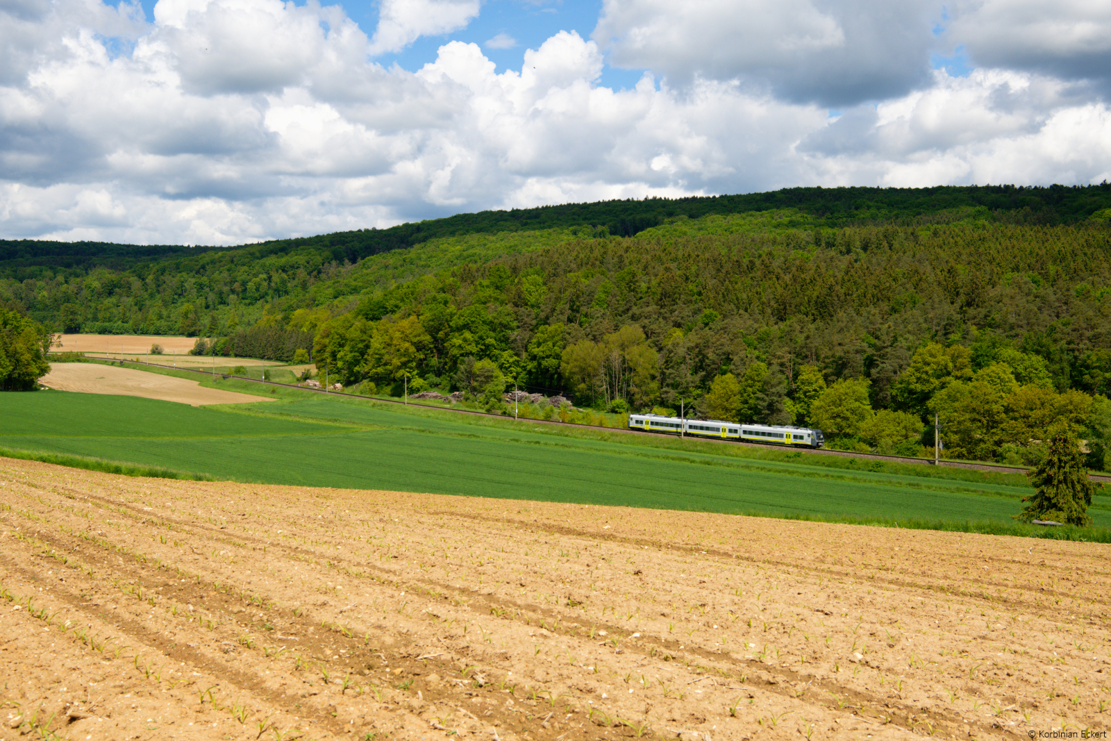 ag 84160 (Regensburg Hbf - Ulm Hbf) bei Kehlheim, 29.05.2021