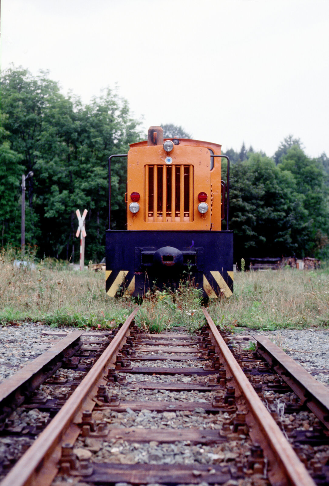 Am Ende der Schmalspurstrecke Thum-Willischthal steht die ursprünglich für einen VEB eingesetzte, 1987 von der DR gemietete und 1990 endgültig gekaufte 199 008 am 17.09.1991 im Regelspurbahnhof Willischthal.