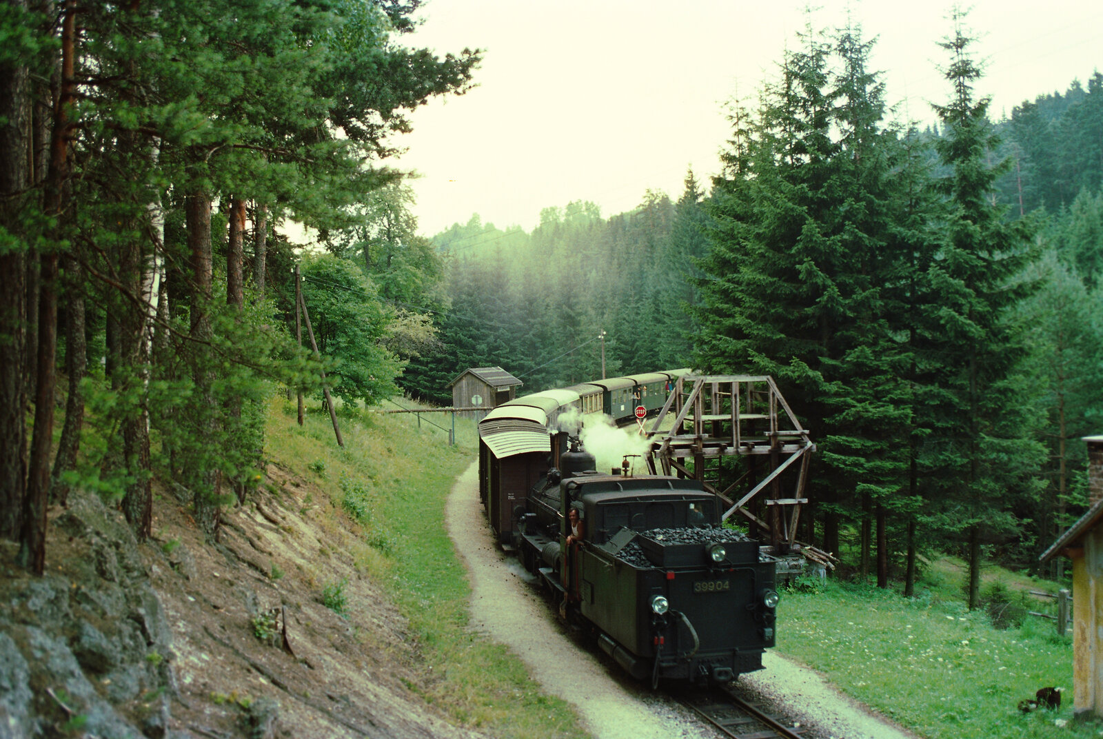 Dampfzug der Waldviertelbahn mit ÖBB-Dampflok 399.04  (bei Bruderndorf)
Datum: 20.08.1984