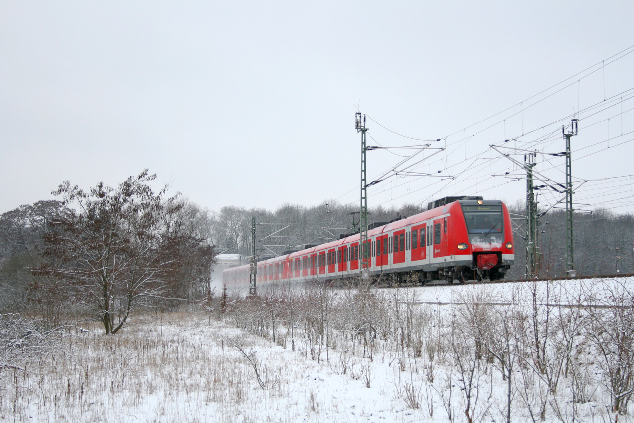 DB Regio 423 195 + 423 194 // Köln-Müngersdorf // 3. Januar 2010