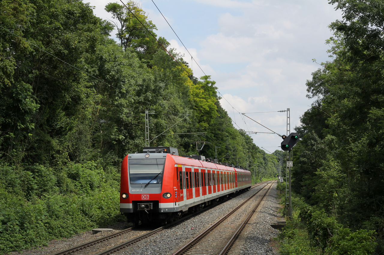 DB Regio 423 337 + 423 018 // Höfingen // 17. Juli 2016