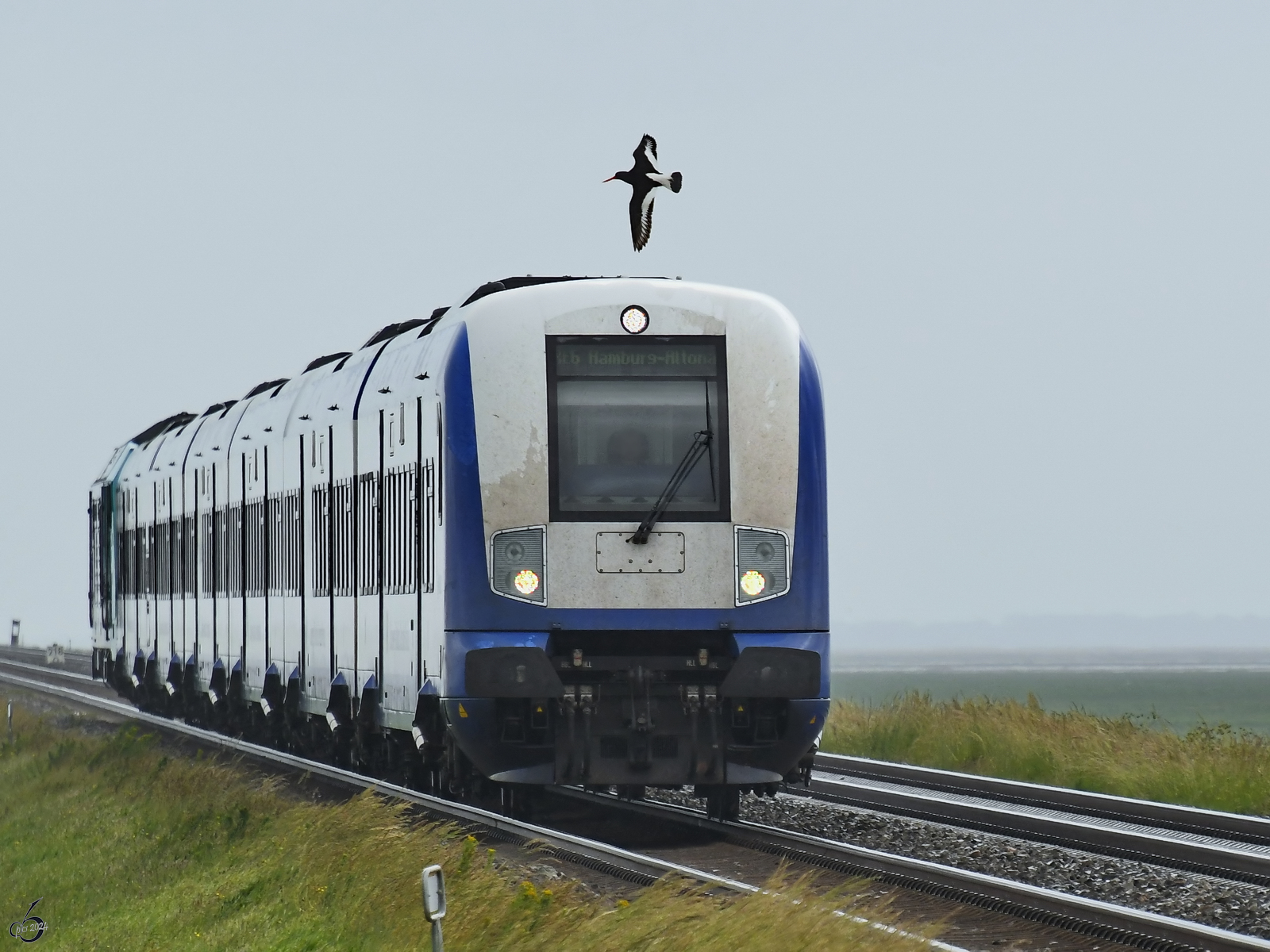 Der Regionalzug RE6 nach Hamburg-Altona hat das Festland erreicht. (Friedrich-Wilhelm-Lübke-Koog, Juni 2024)