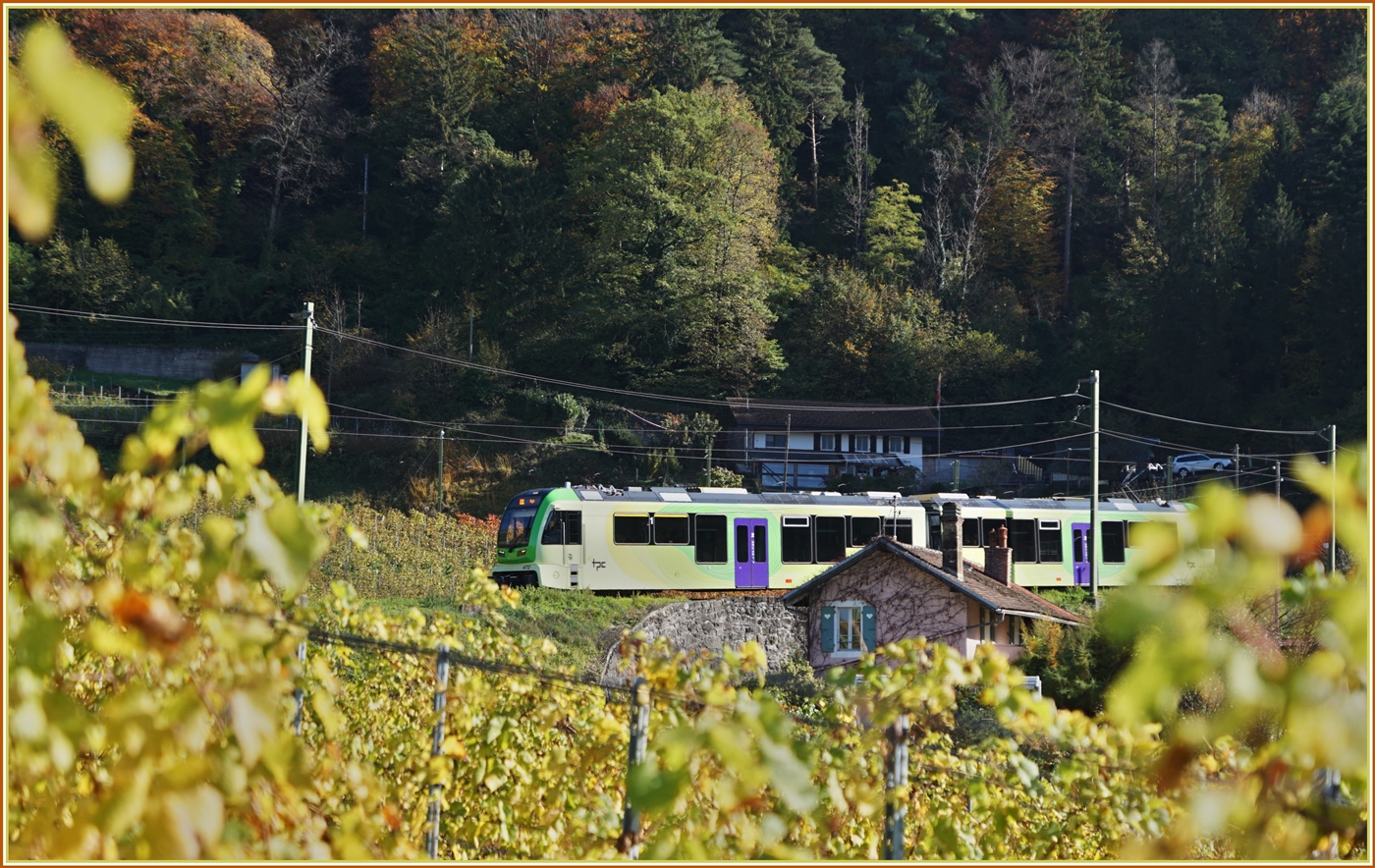 Die Strecke der ASD führt in einigen weiten Schleifen zur Gewinnung an Höhe gleich nach  Aigle durch die Rebberge. Diese bietet nach der Lese der Trauben im Herbst herrliche Farben und einige Sujet für die Motivwahl, wobei bei diesem Bild hier die bunten Reben den ebenfalls bunten Zug schon fast verstecken...

2. Nov. 2024