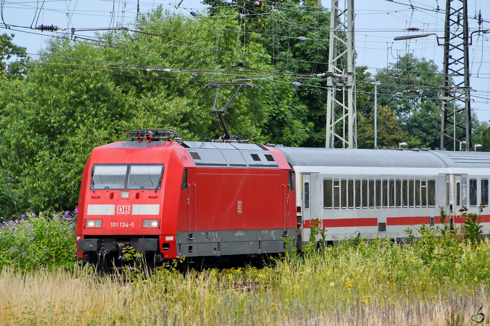 Ende Juni 2024 zog die Elektrolokomotive 101 134-5 einen Intercity durch das Wanne-Eickeler Grün.