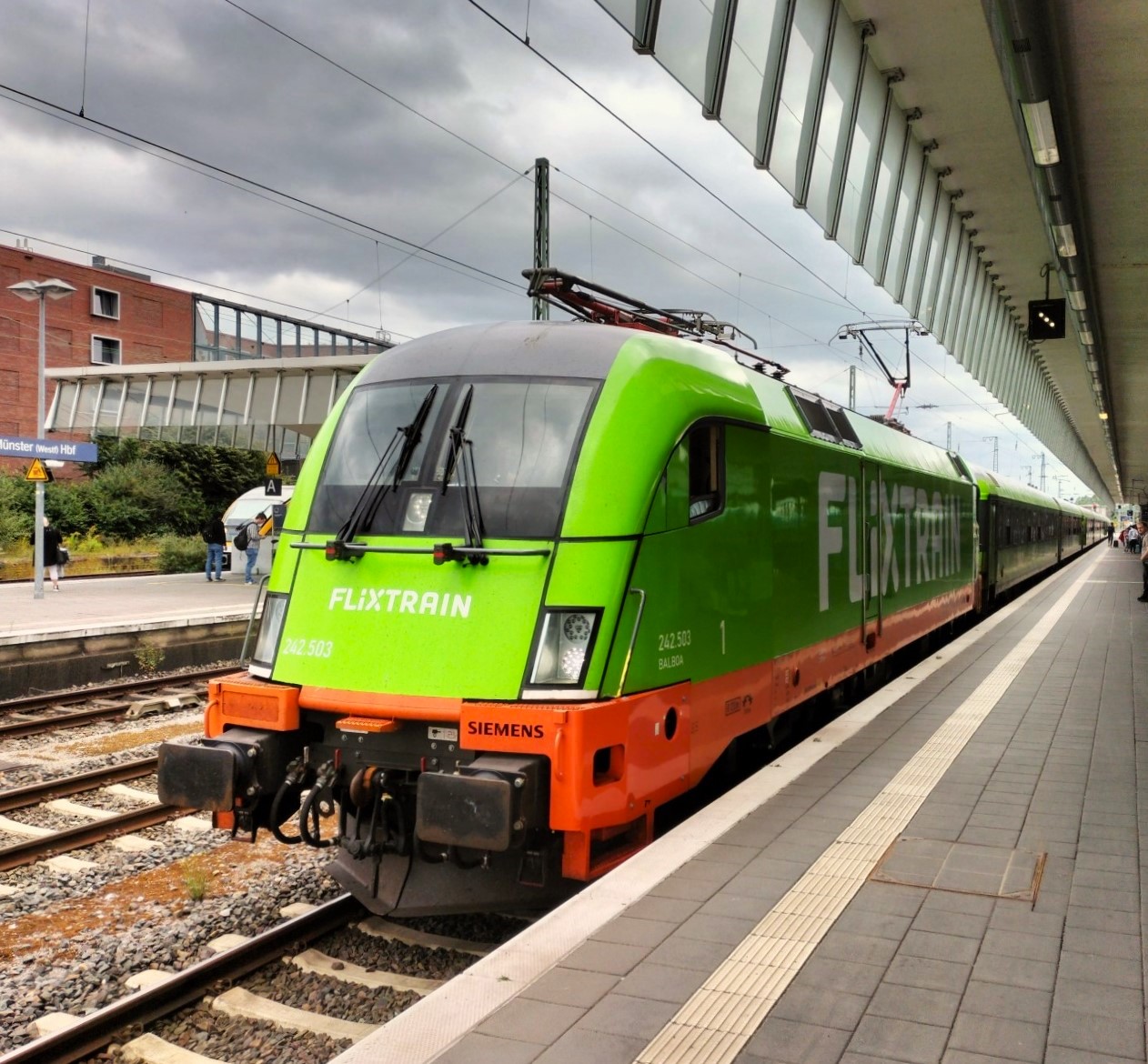 FLIXTRAIN  182 503 mit FLX Köln - Hamburg in Münster, 23.08.2024