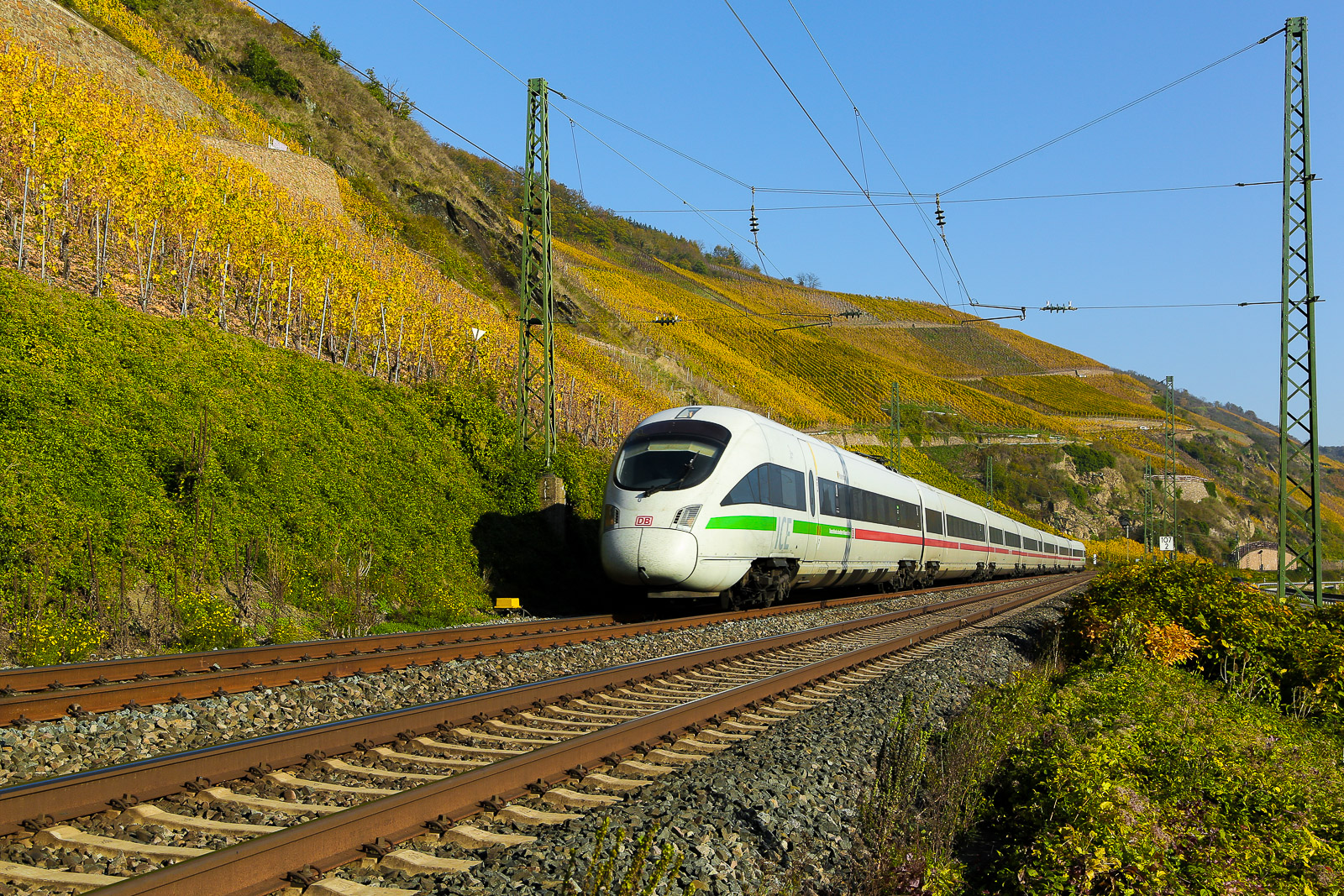 ICE 4 im Rheintal mit schönen Weinbergen im Hintergrund am linke Rheinufer bei Boppard am 4.11.24.