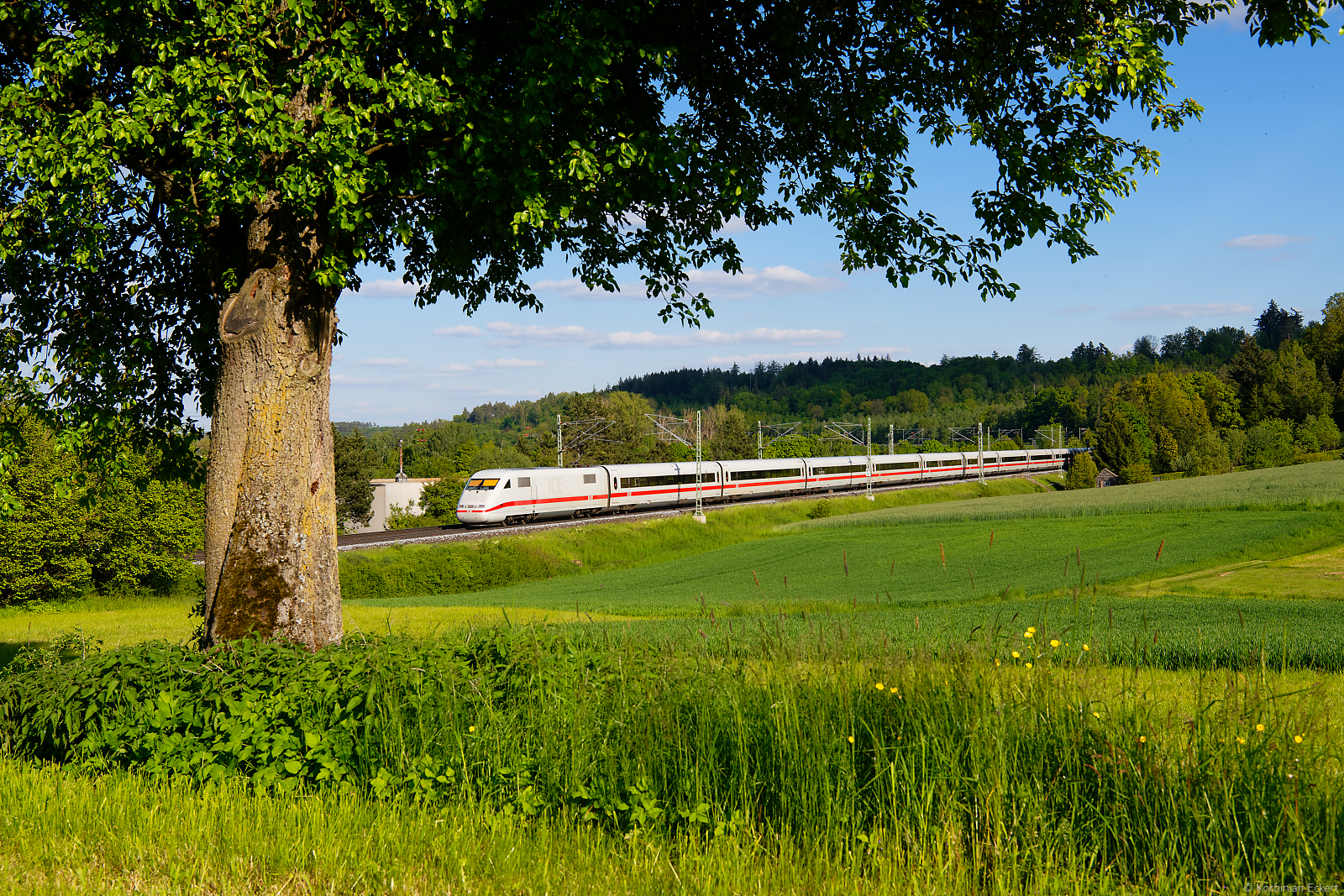 ICE 881 (Hamburg-Altona - München Hbf) bei Ansbach, 31.05.2021