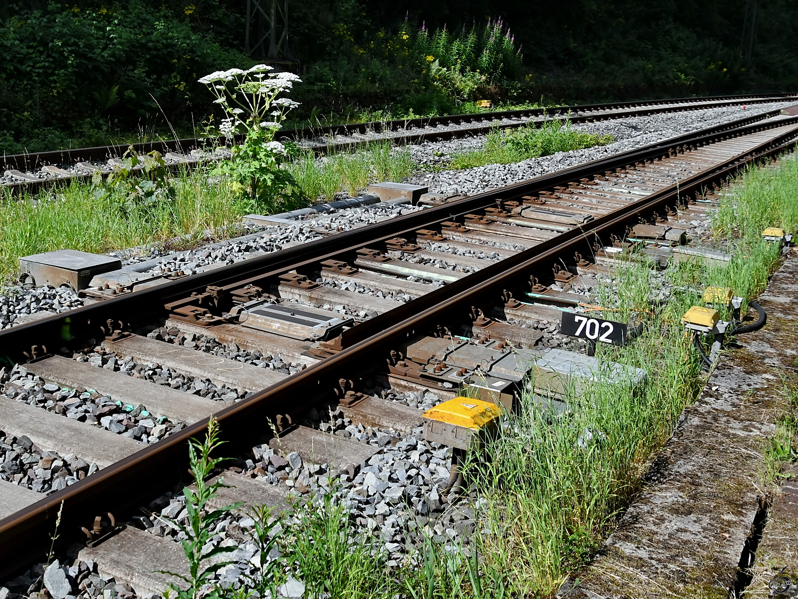 Im Bild ein Weichenantrieb auf der Ruhrtalstrecke. (Hattingen, Juli 2024)