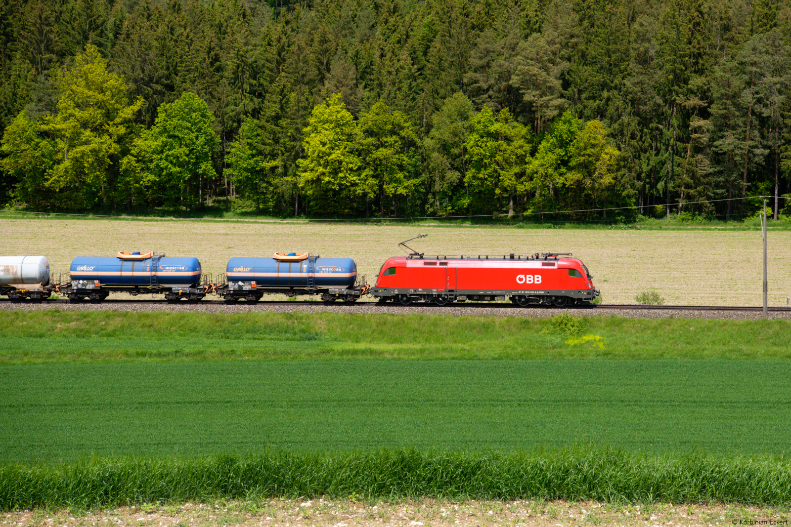 Lokportrait von 1016 025 der ÖBB mit einem gemischten Güterzug bei Kehlheim in Richtung Regensburg, 29.05.2021