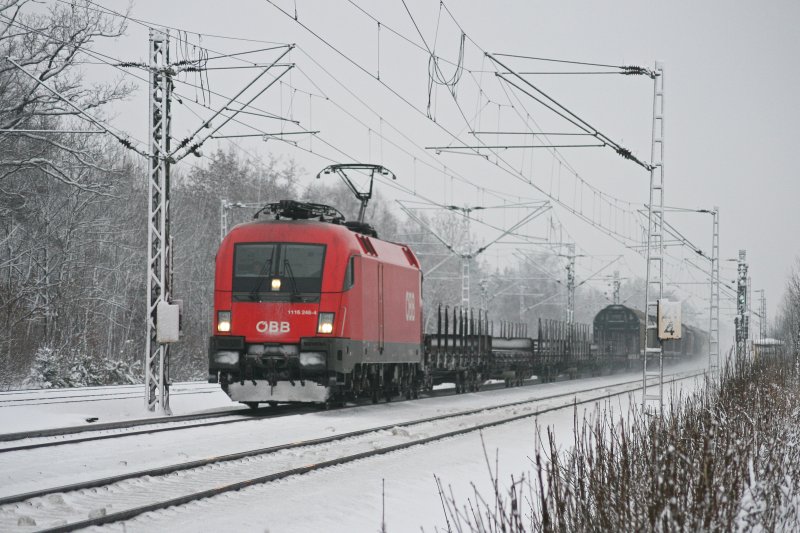 1116 248 mit gemischten Gterzug am 21.02.2009 im winterlichen Haar (bei Mnchen).