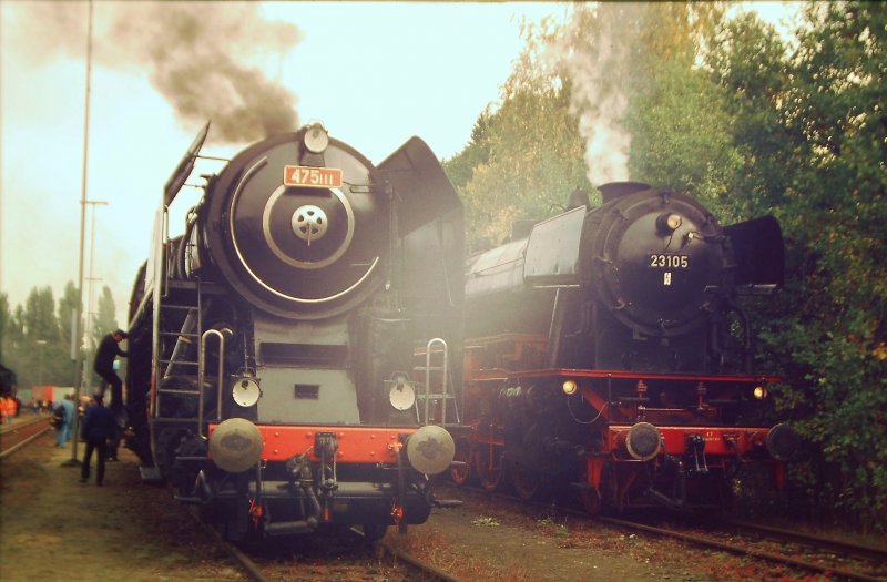 1999 in Nrnberg-Gostenhof zur Lokparade. Zwei echte Schnheiten geben sich ein Stelldichein, die tschechische Prinzessin 475 111 und die deutsche 23 105