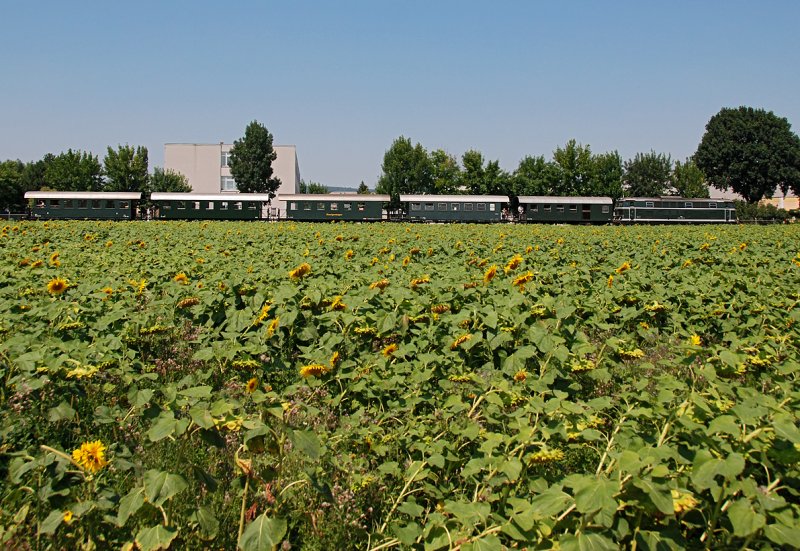 2143.40-0, unterwegs mit EZ nach Ernstbrunn, vor vielen, vielen Sonnenblumen;-))) Korneuburg, am 01.08.2009.